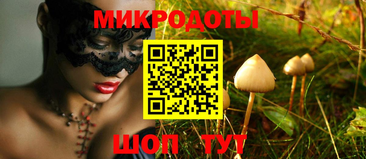 Галлюциногенные грибы Psilocybine cubensis Зеленокумск